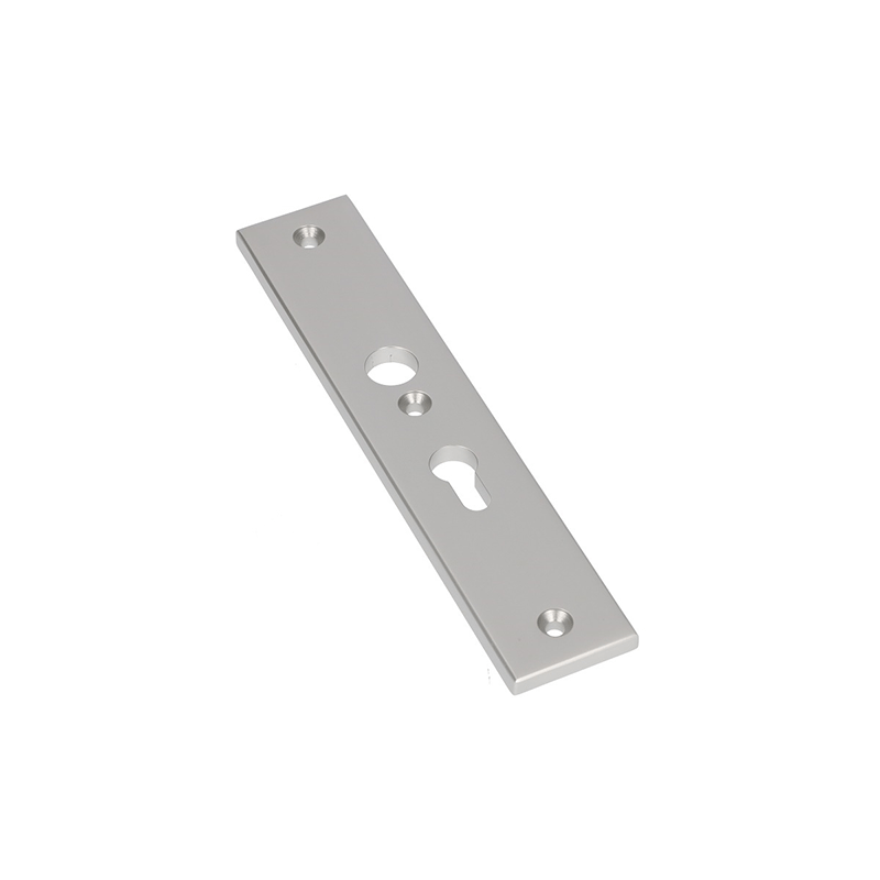 Vh-binnenschild recht 50x250mm PC55-F1 SKG***